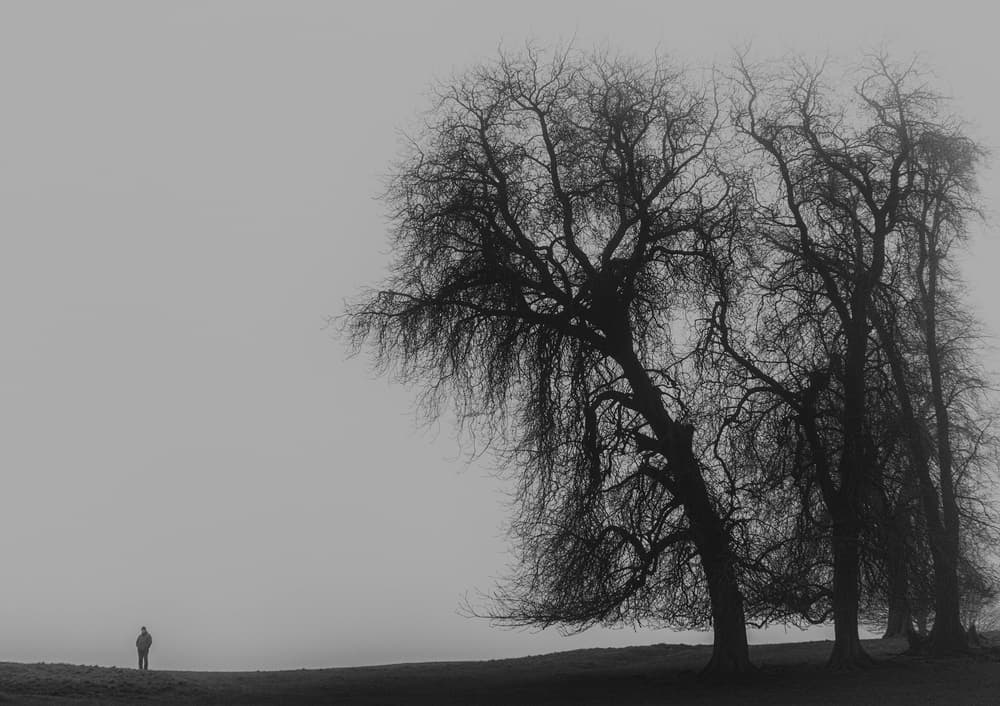 Solitary Figure Winter Trees by Bego Amare — canvas wall art