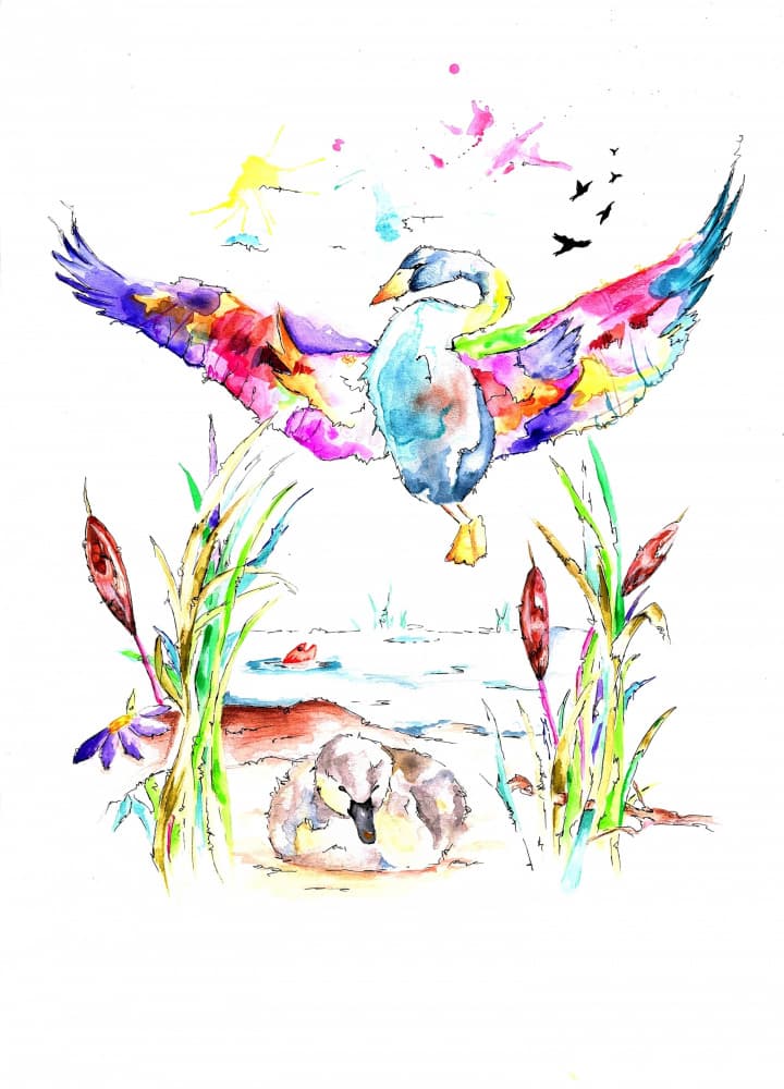 Colorful Swan and Cygnets by Rikke Løndager Boisen — canvas wall art