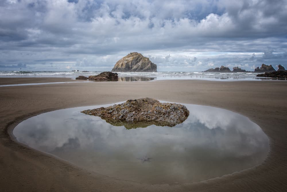 Moody Beach Reflection by April Xie — canvas wall art