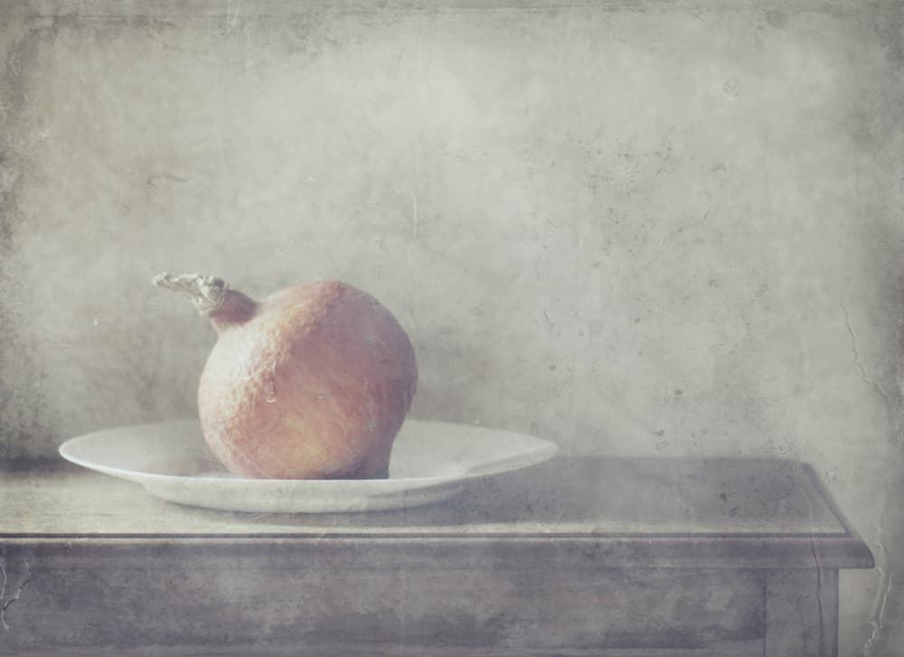 Rustic Squash Still Life by Delphine Devos — canvas wall art