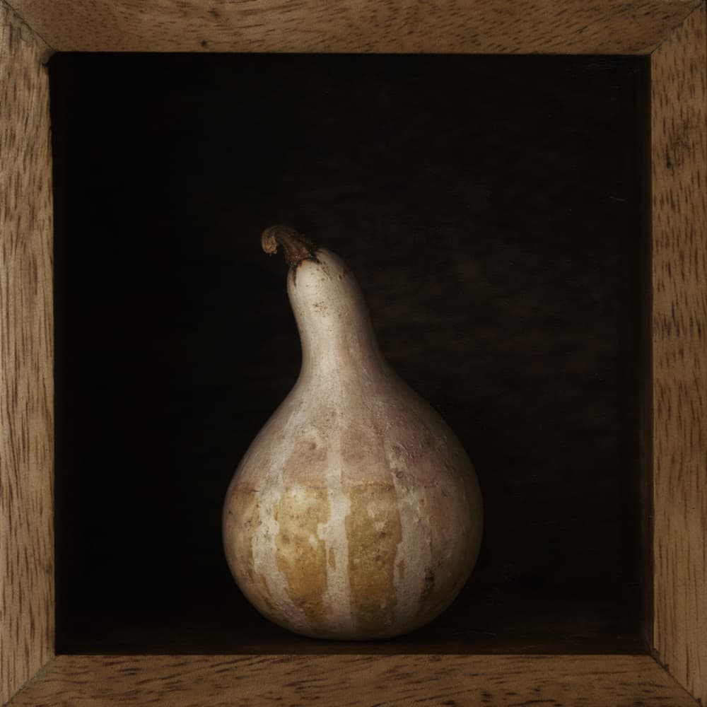 Rustic Gourd Still Life by Lotte Grønkjær — canvas wall art