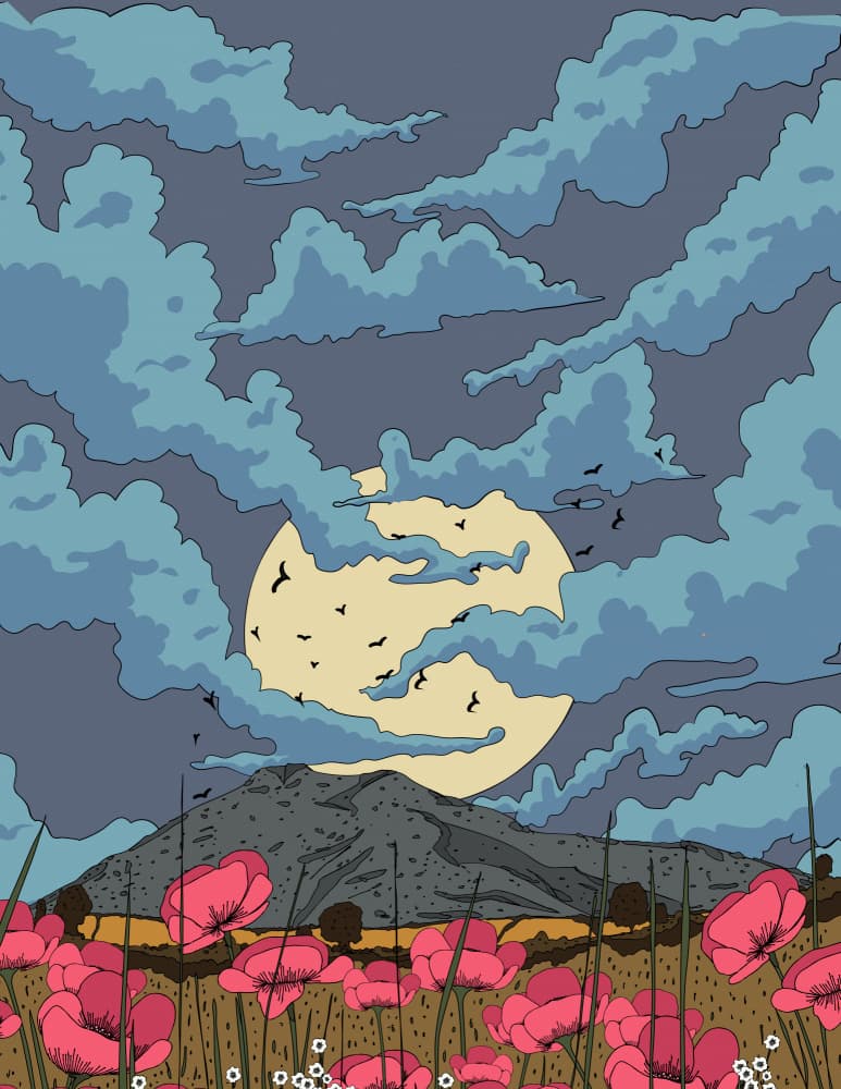 Moonlit Poppy Mountain by Nicholas — canvas wall art
