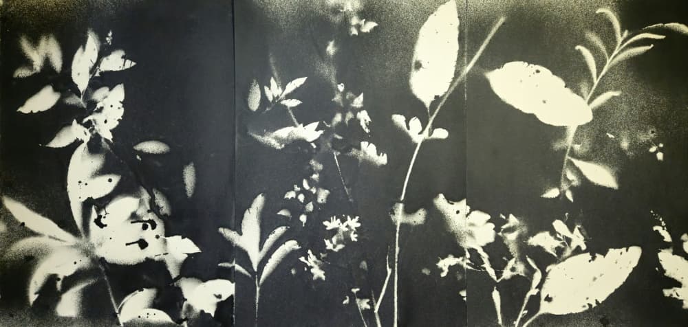 Ethereal Botanical Silhouettes by Stefano Mazzolini — canvas wall art