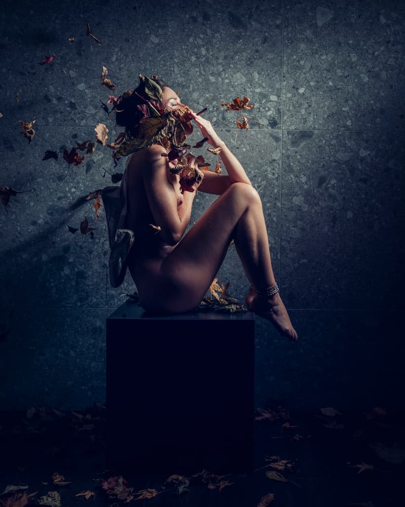Autumn Leaves Nude by gNo — canvas wall art