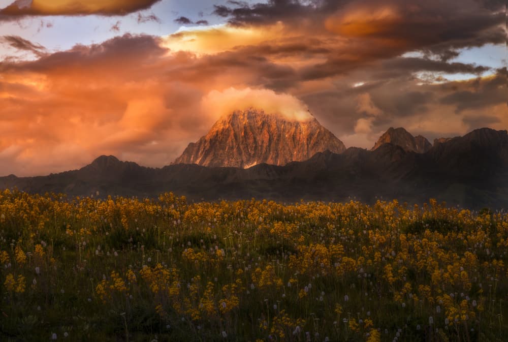 Golden Mountain Meadow Sunset by Yezimao — canvas wall art