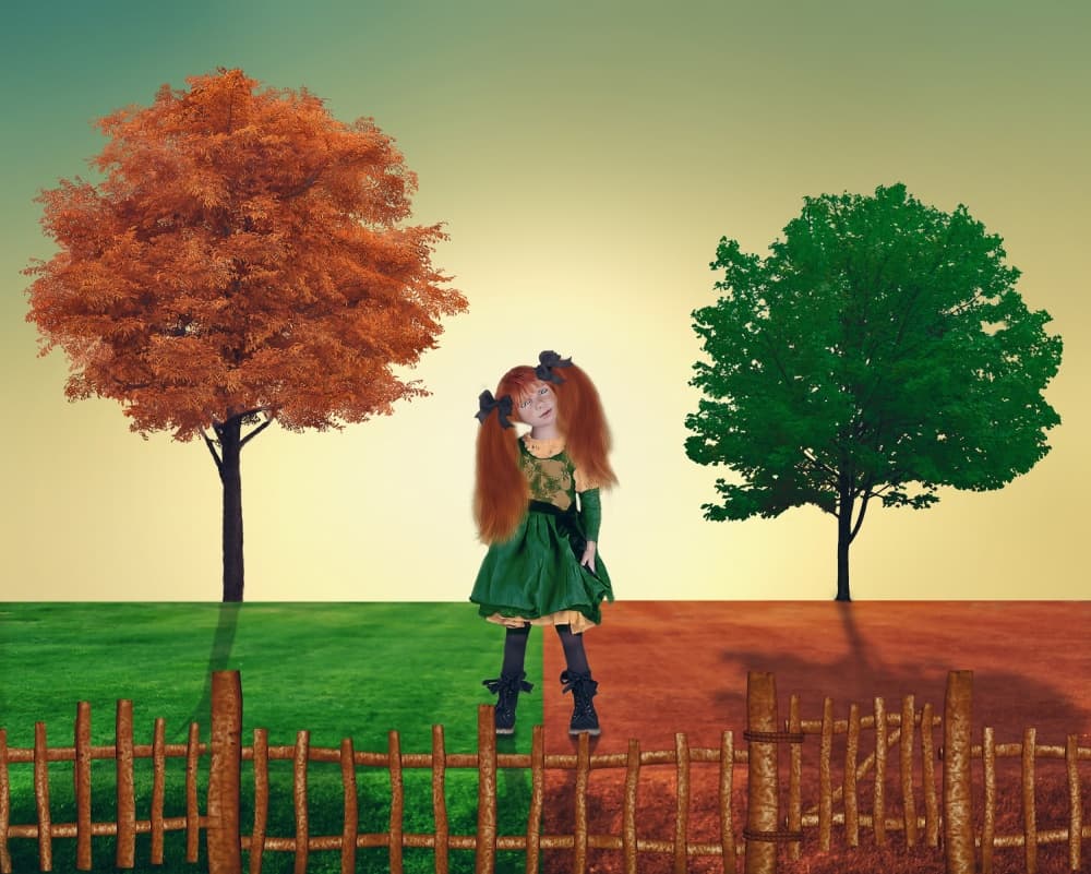 Choice by Natalia Simongulashvili ( NATALIORION ) — canvas wall art