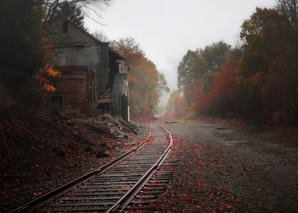 Misty Autumn Tracks by Shi & Wei — canvas wall art
