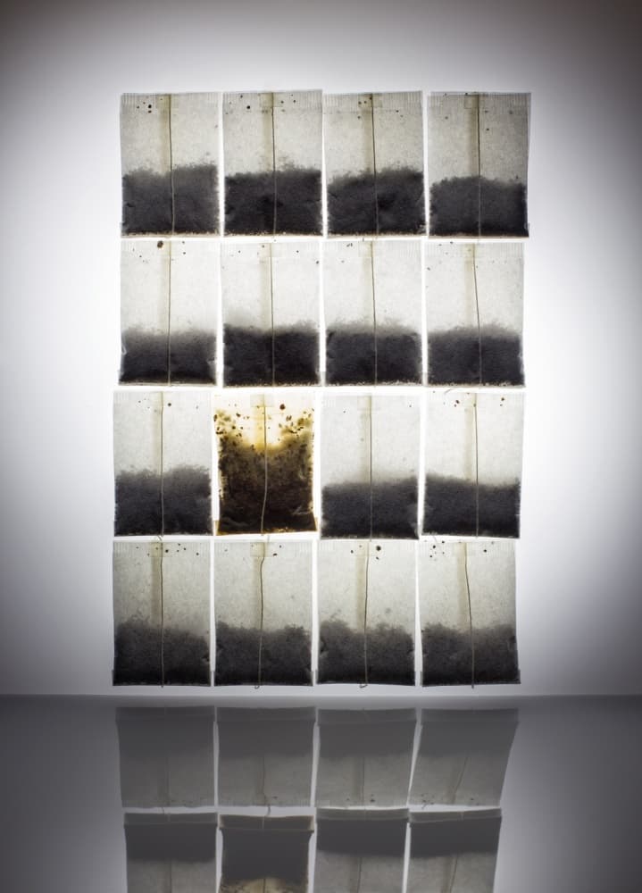 Tea Bags Still Life by Wieteke de Kogel — canvas wall art