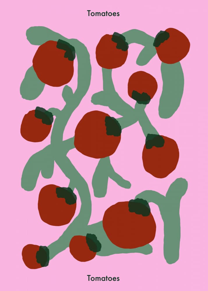 Fresh Tomatoes On Vine by Emma Make — canvas wall art