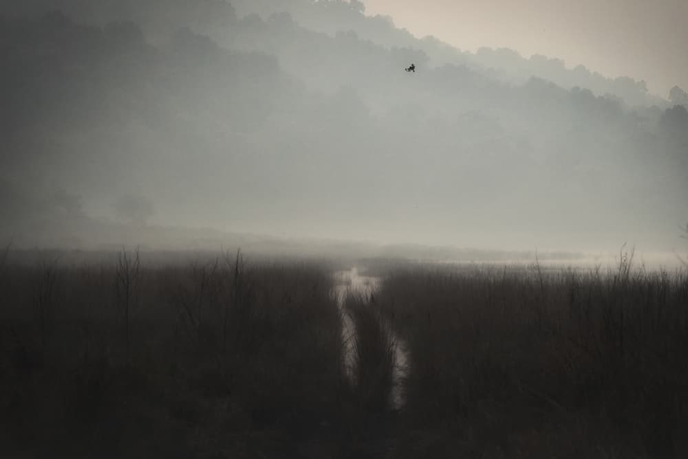 Misty Mountain Flight by swapnil deshpande — canvas wall art