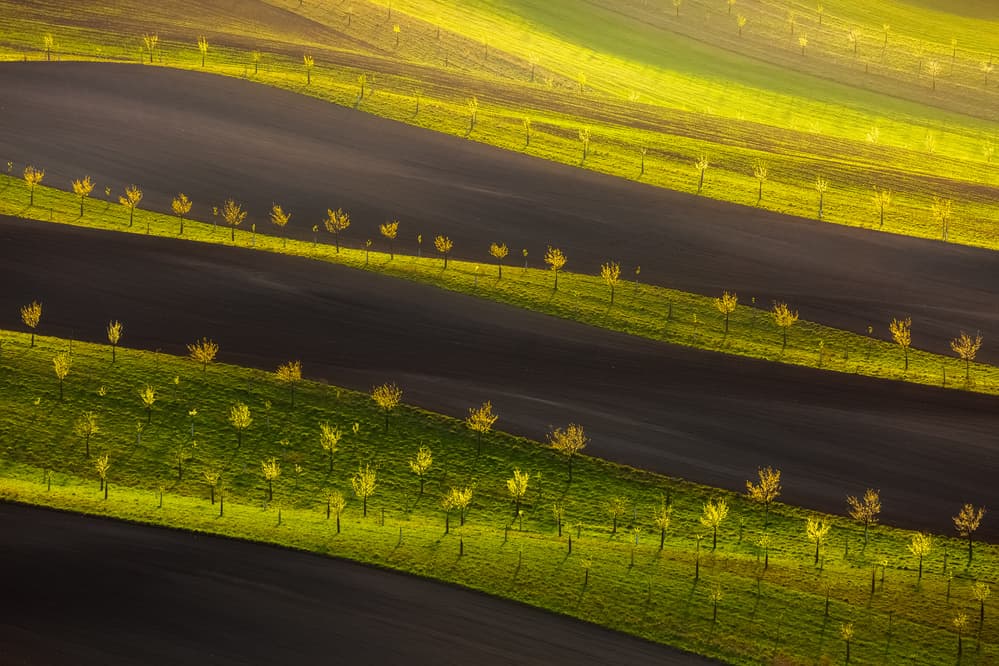 Wavy Golden Fields by Tomasz Rojek — canvas wall art
