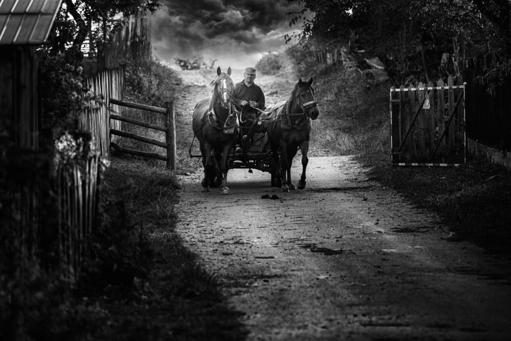 Rural Horse Cart Journey by Grigore Roibu — canvas wall art