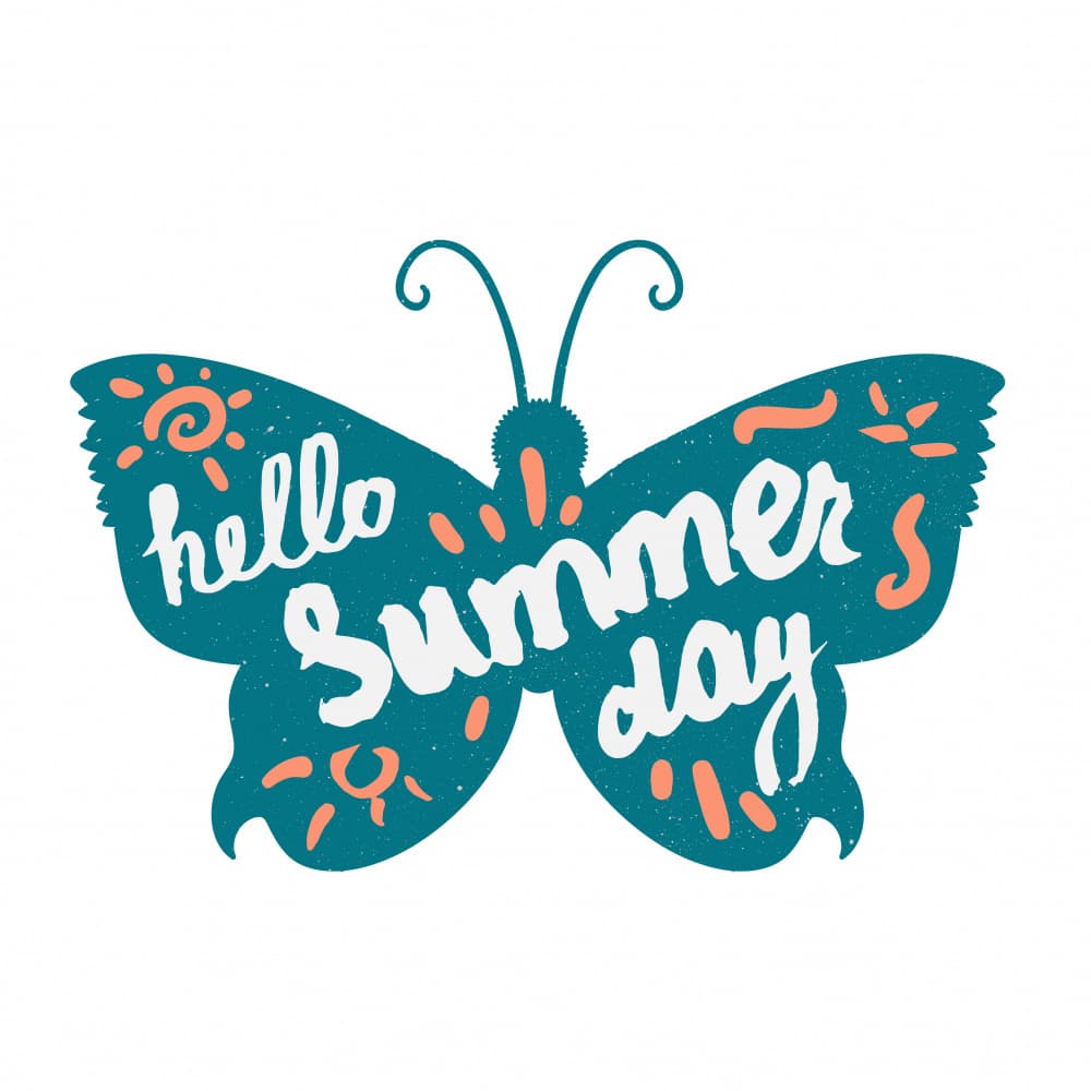Hello Summer Butterfly by Marika Barsrsind — canvas wall art