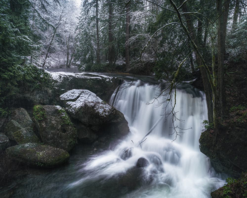 Snowy Forest Waterfall by James K. Papp — canvas wall art