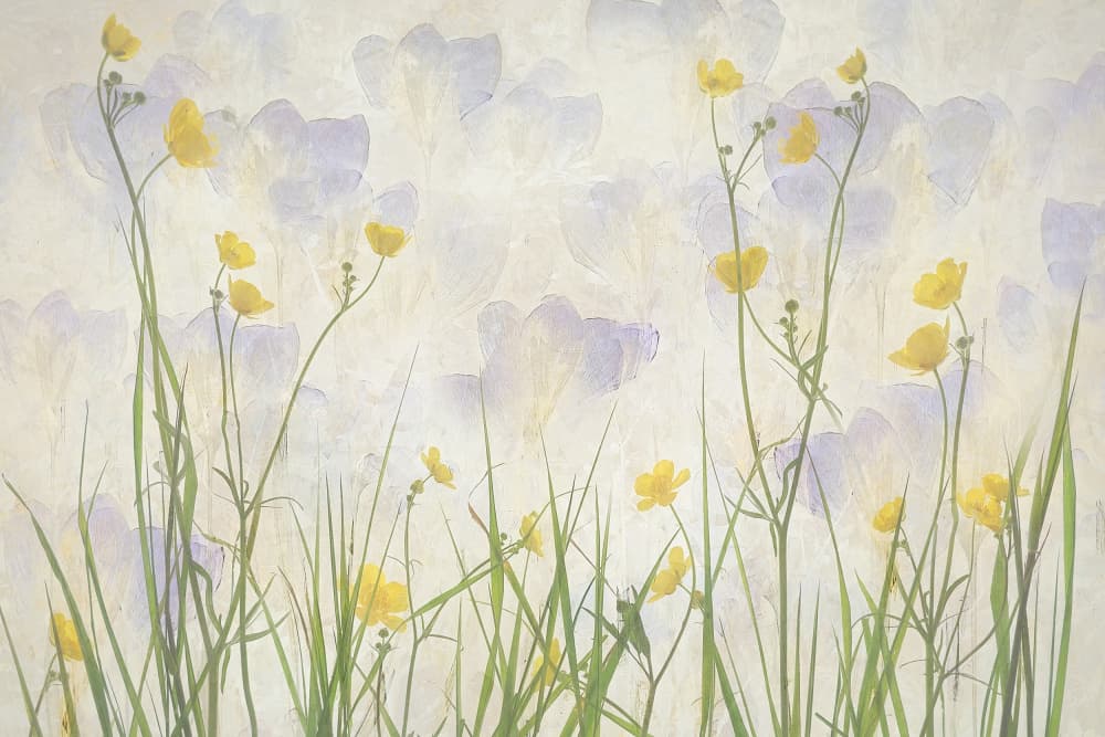 Crocuses bloom