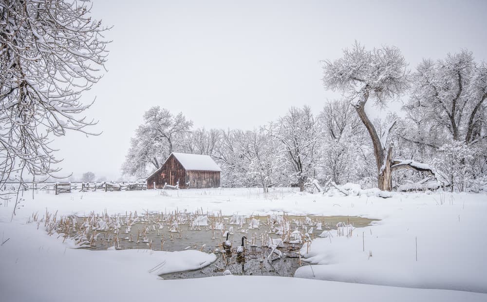 Snowy Winter Barn by Lior Yaakobi — canvas wall art