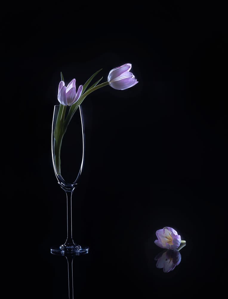 Elegant Purple Tulips by Alice Sheng — canvas wall art