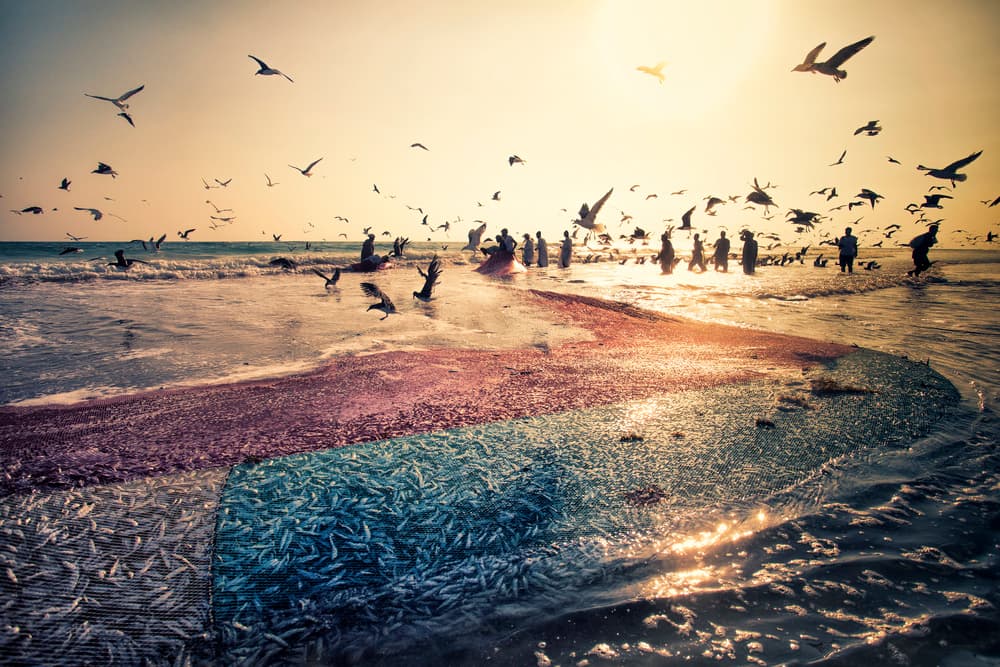 Golden Hour Beach Fishing by Haitham AL Farsi — canvas wall art