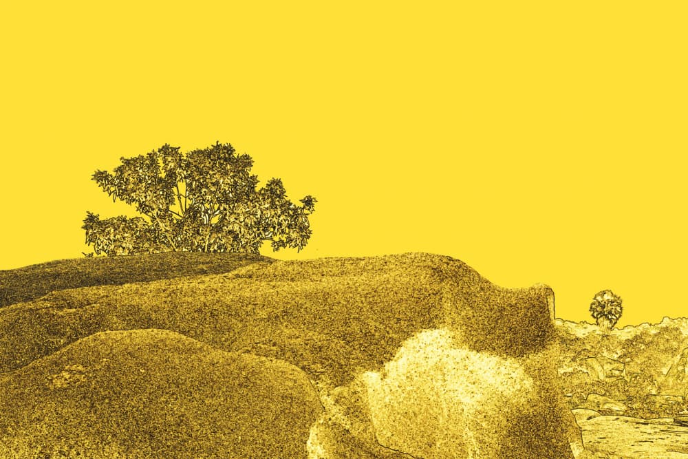 Golden Hillside Tree by Santhosh ch — canvas wall art