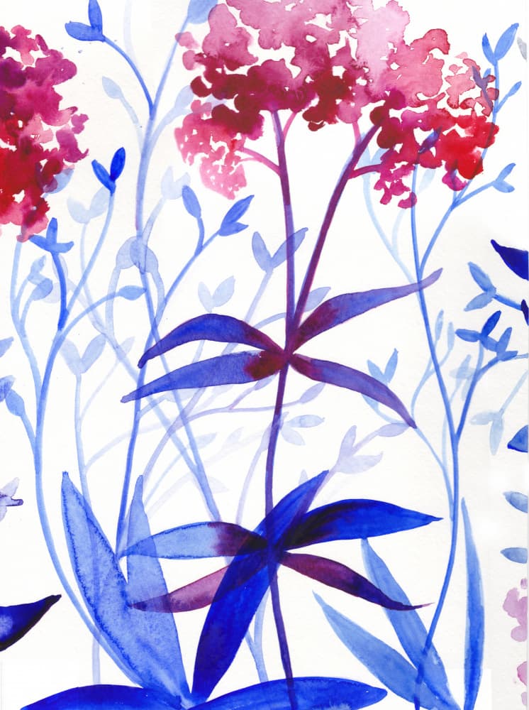 Garden By the Sea by Christine Lindstrom — canvas wall art