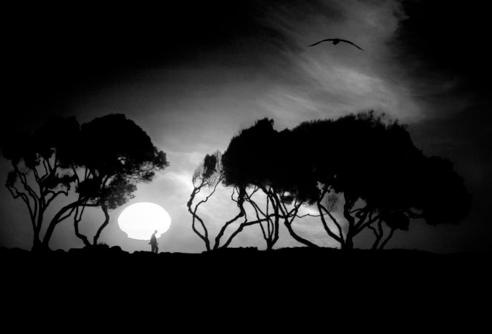Solitary Figure Sunset by Tina Kim — canvas wall art