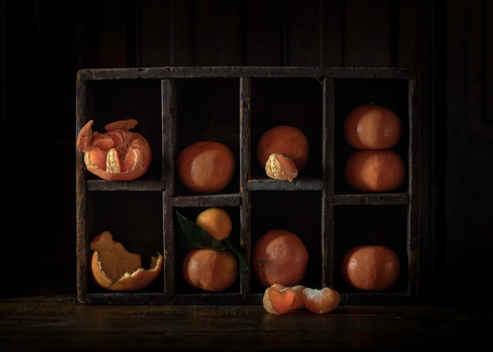 Moody Citrus Still Life by Heather Bonadio — canvas wall art