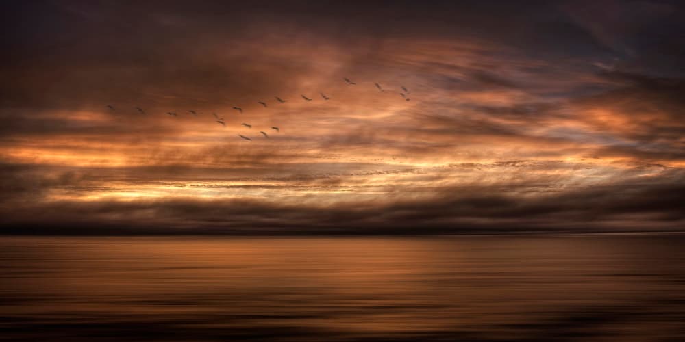 Birds Soaring At Sunset by Yvette Depaepe — canvas wall art