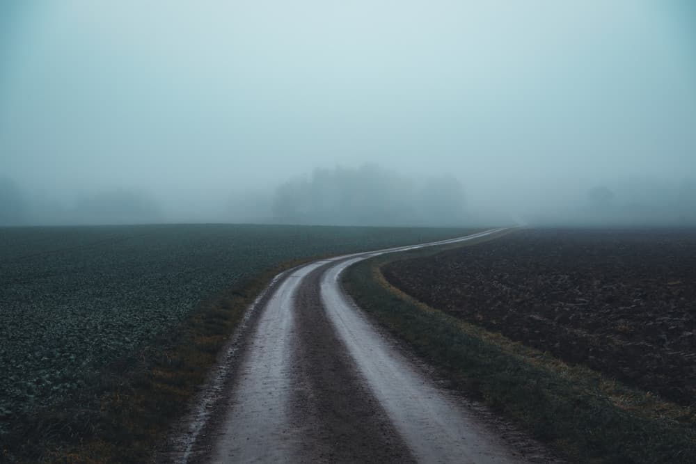 Winding Misty Path by Christian Lindsten — canvas wall art