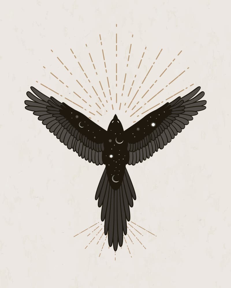 Celestial Crow Flight by KsanaKalpa — canvas wall art