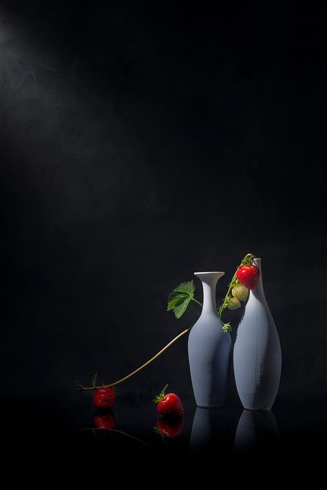 Moody Strawberry Vases by Lydia Jacobs — canvas wall art