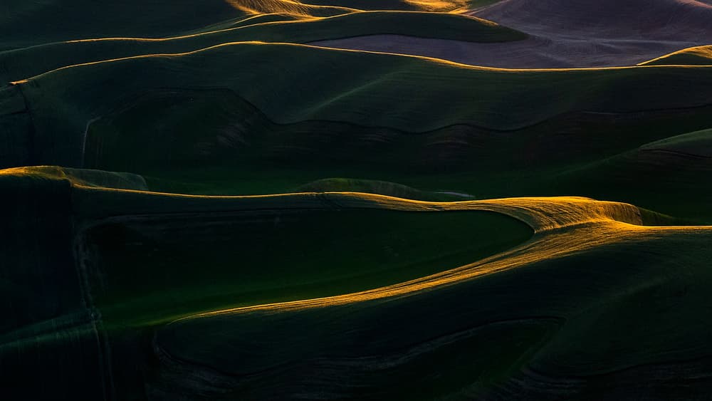 Rolling Hills Golden Light by Annie Poreider — canvas wall art