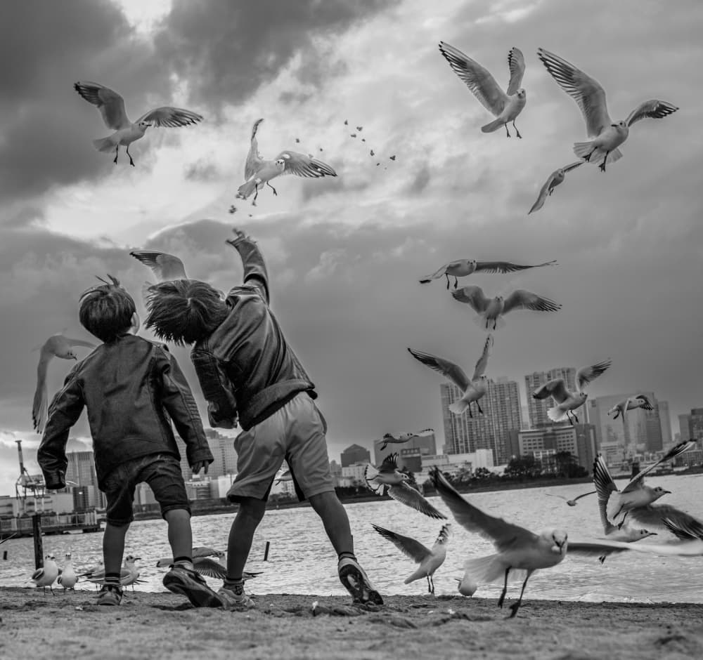 Kids Feeding Flying Birds by sirou.minami — canvas wall art