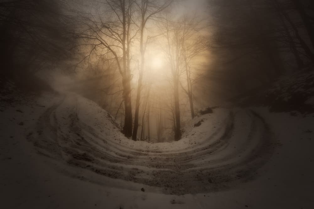 Misty Forest Winter Road by Filippo Manini — canvas wall art