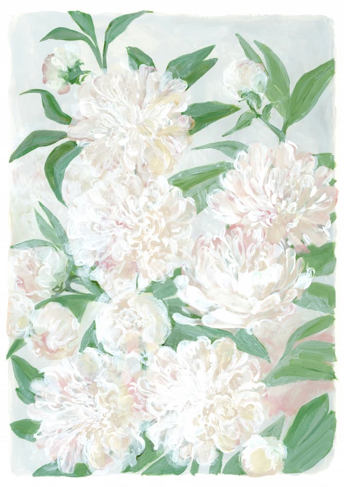 Soft Peony Blooms