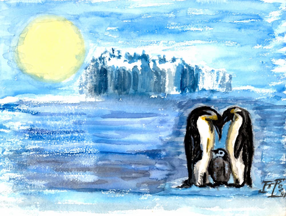 Emperor Penguin Family by Tim Hoinkis — canvas wall art