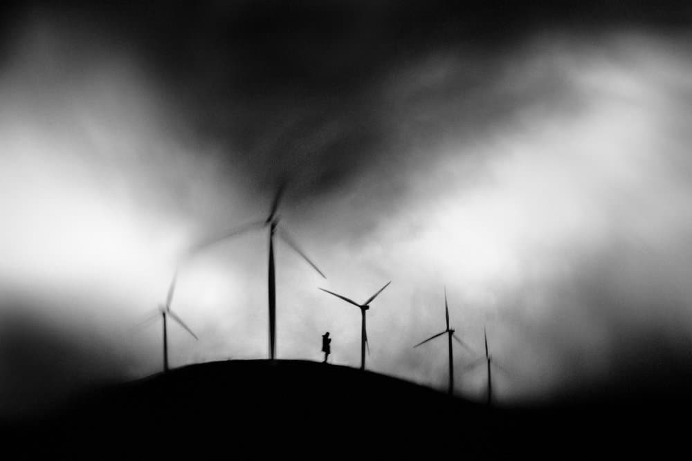 Misty Wind Farm by Todor Tanev — canvas wall art
