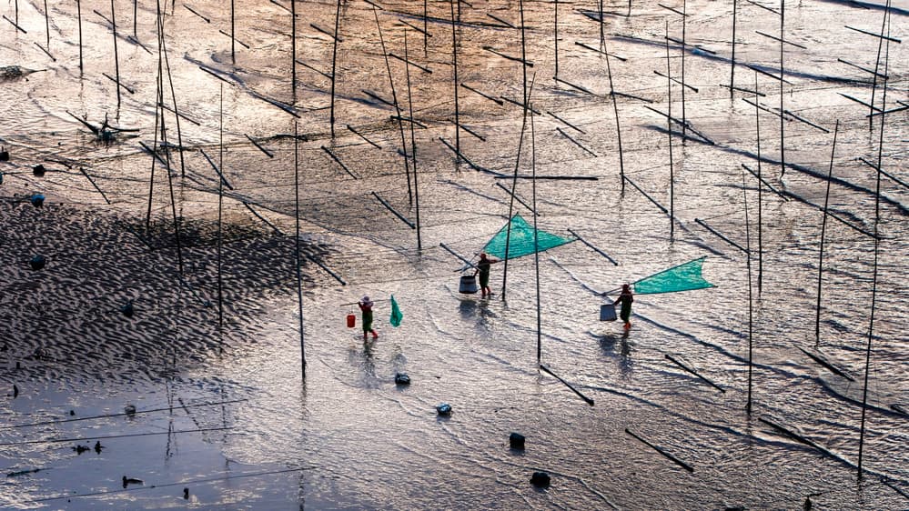 Tidal Flat Harvesters by Shin Woo Ryu — canvas wall art