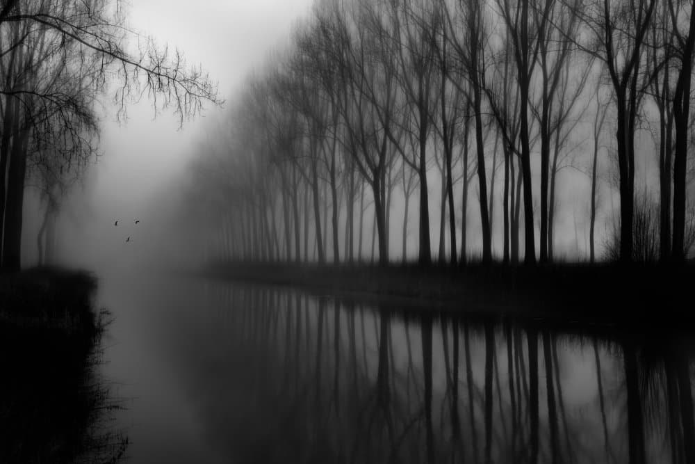 Misty River Reflections by Fabrizio Massetti — canvas wall art
