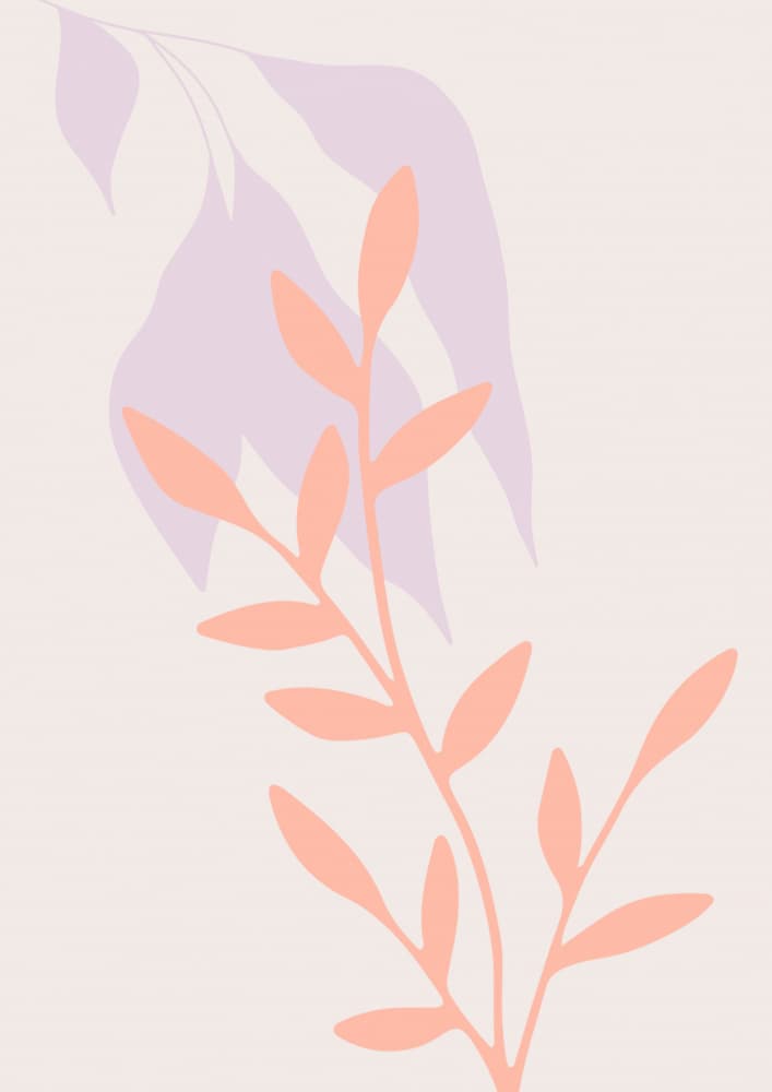 Soft Pastel Botanicals by Talitha McQueen — canvas wall art