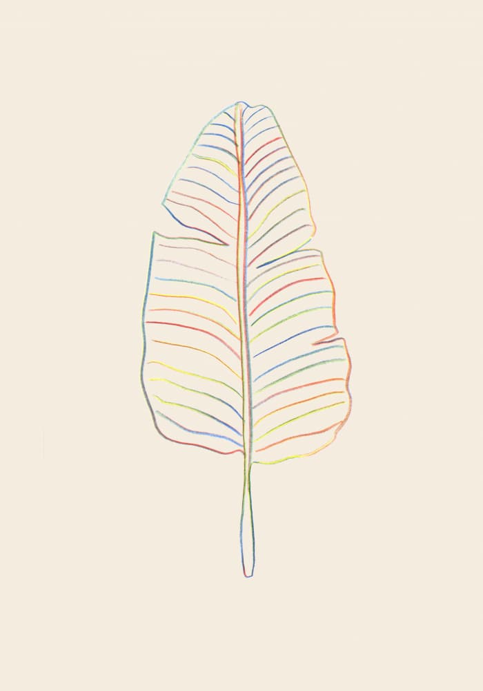 Rainbow Tropical Leaf by Pictufy Studio — canvas wall art