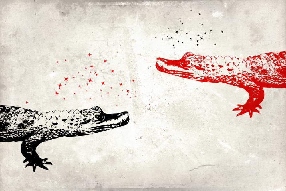 Red Black Alligator Magic by Rafal Kulik — canvas wall art