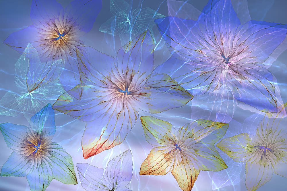 Ethereal Blue Blooms by Ludmila Shumilova — canvas wall art