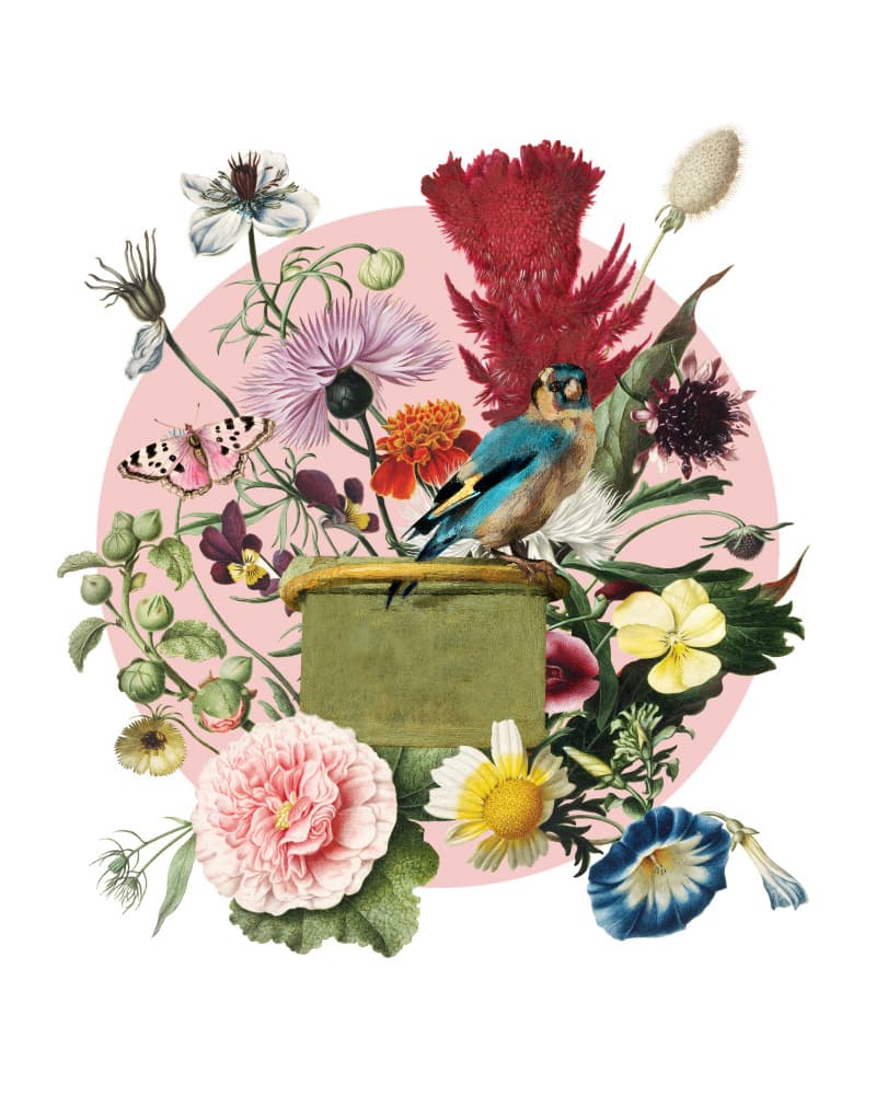 Bird and Botanical Bloom