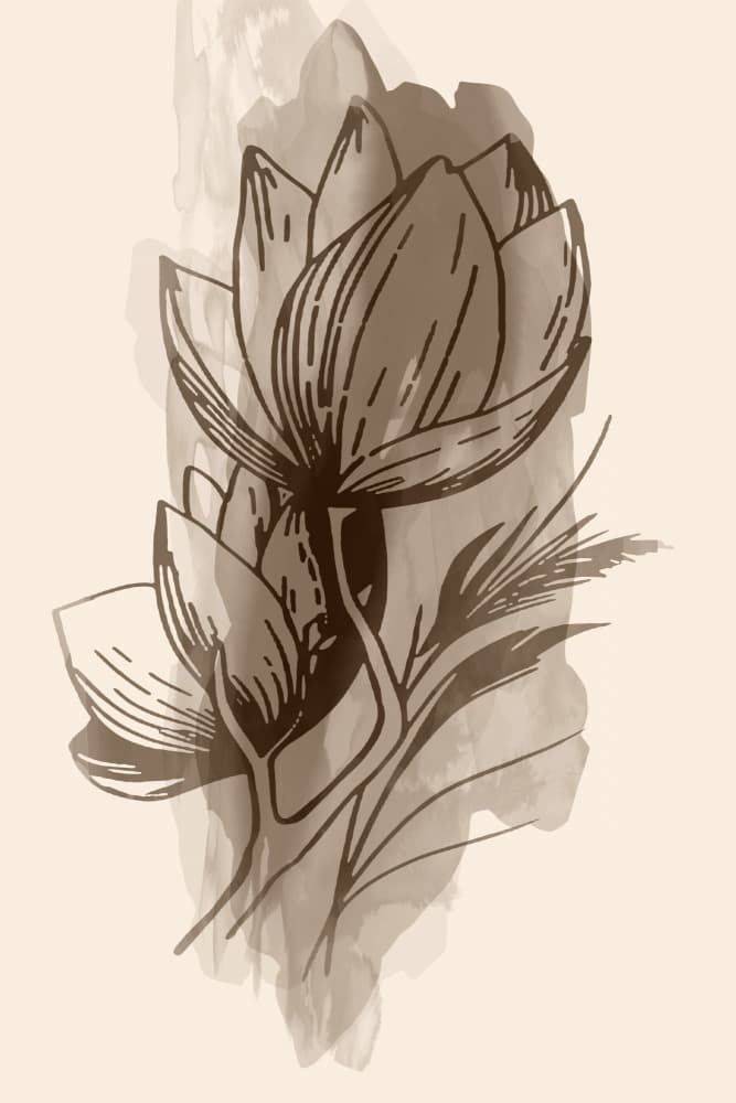 Soft Botanical Sketch by cartissi — canvas wall art