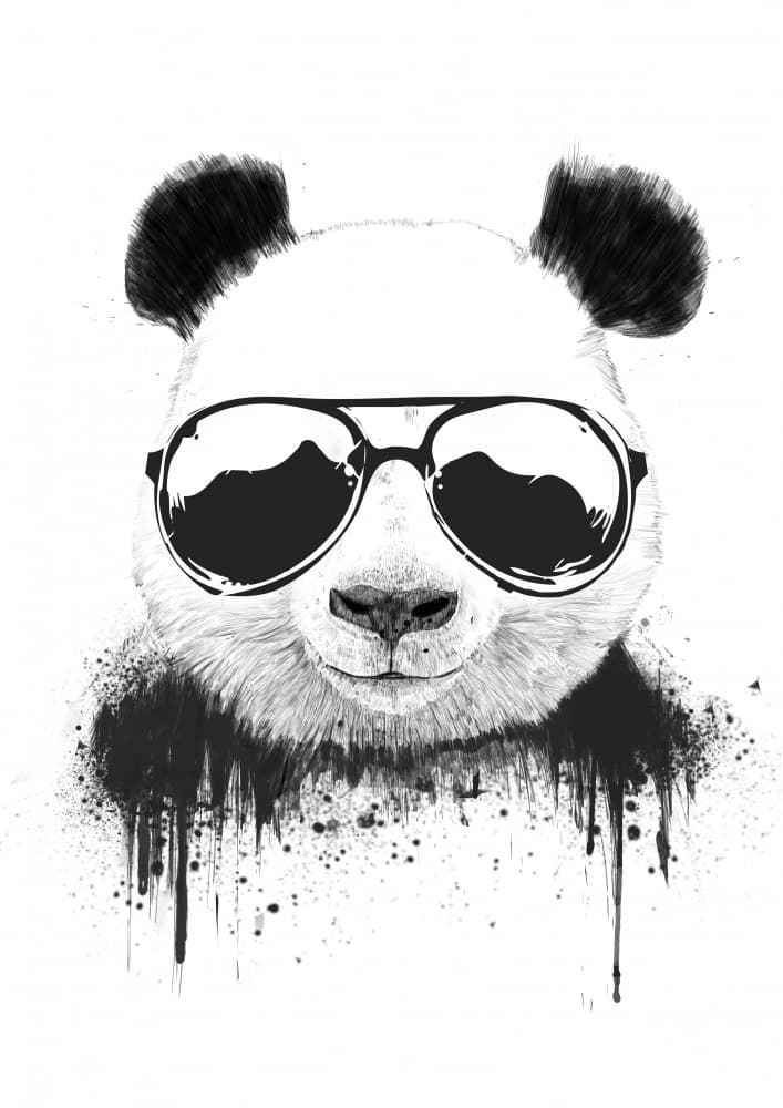 Cool Panda Sunglasses by Balazs Solti — canvas wall art