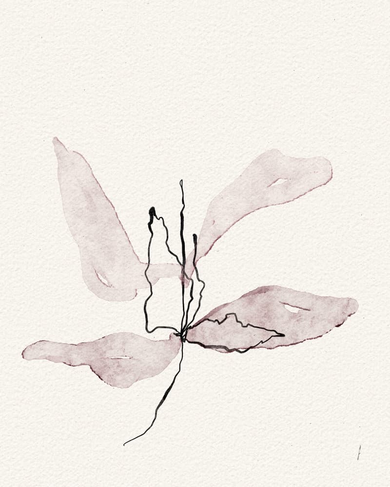 Delicate Botanical Bloom