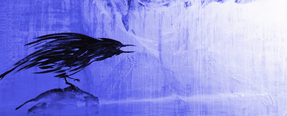 Solitary Blue Raven by RodMacIver — canvas wall art