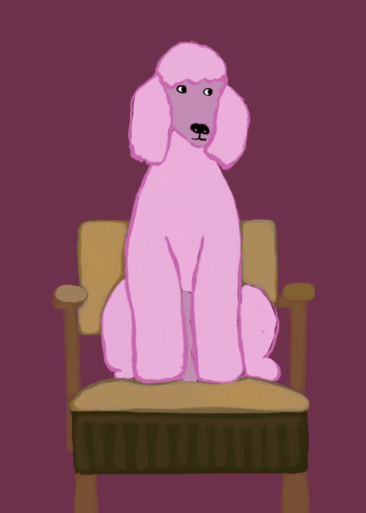 Pink Poodle on Chair by Sharyn Bursic — canvas wall art