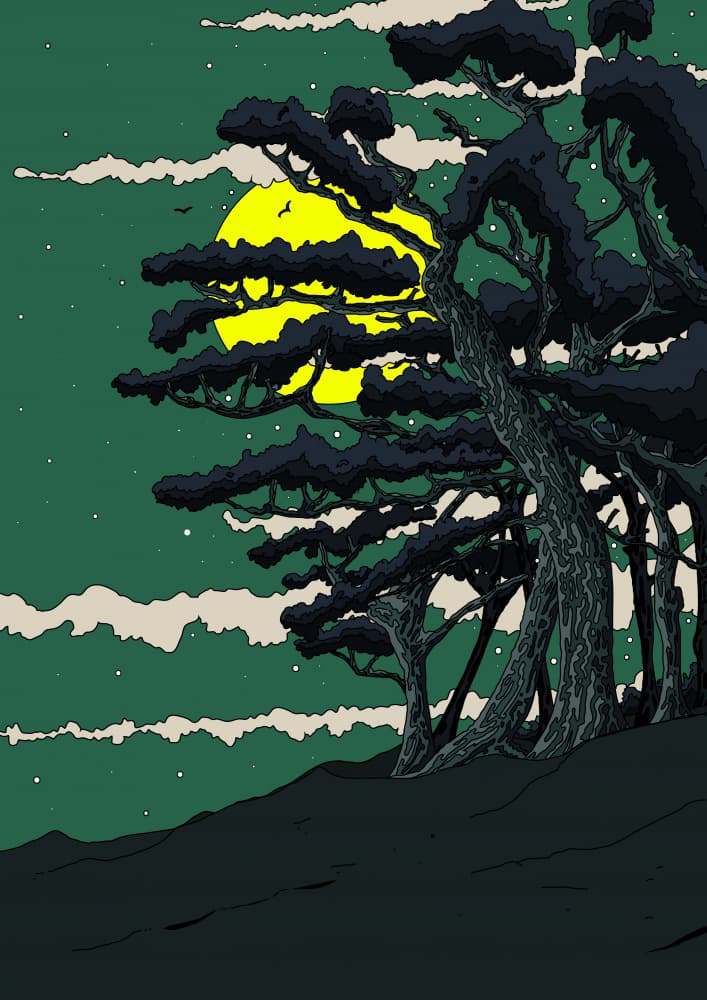 Moonlit Pine Forest by Nicholas — canvas wall art