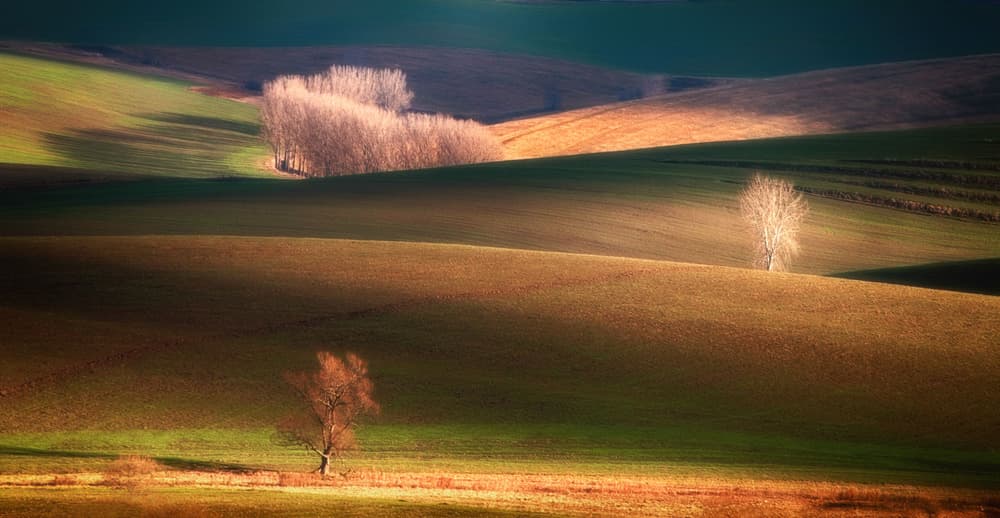 Rolling Hills Golden Light by Peter Svoboda MQEP — canvas wall art